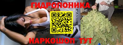 прущая мука Лесосибирск