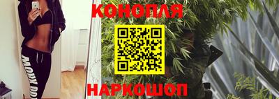 прущая мука Лесосибирск