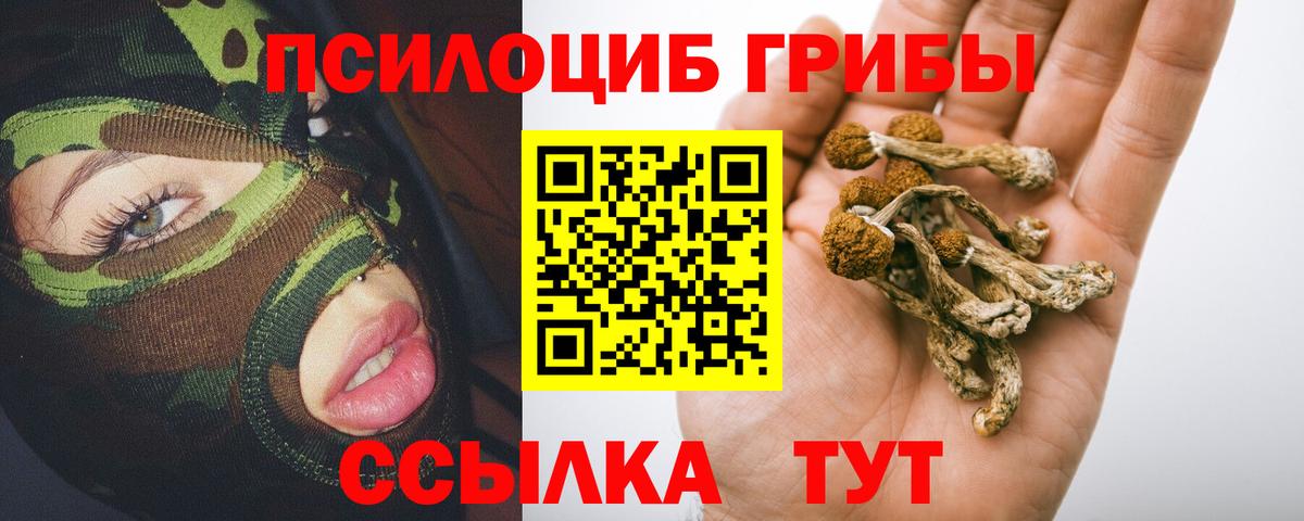 Галлюциногенные грибы Psilocybe  купить наркотики сайты  Дубна  Вход с VPN  Галлюциногенные грибы прущие грибы 